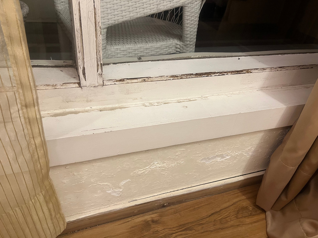 Clarks Exotica Resort主图