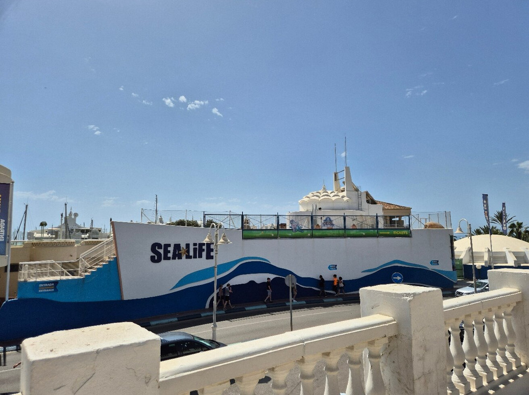 SEA LIFE Benalmadena景点图片