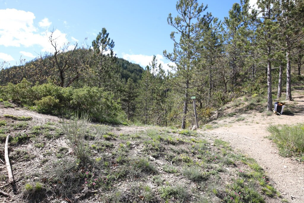 Marais Des Bouligons-Luc-en-Diois必去景点