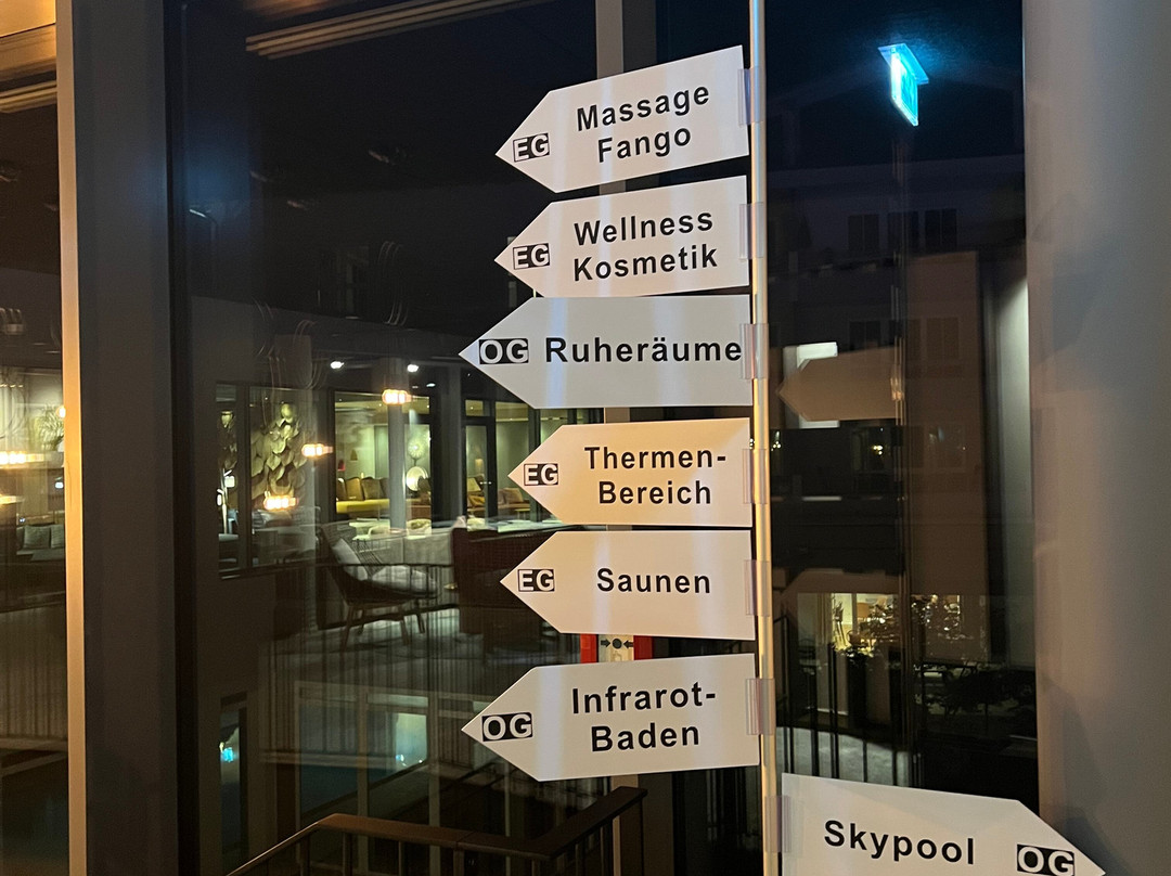 Holzapfel主图