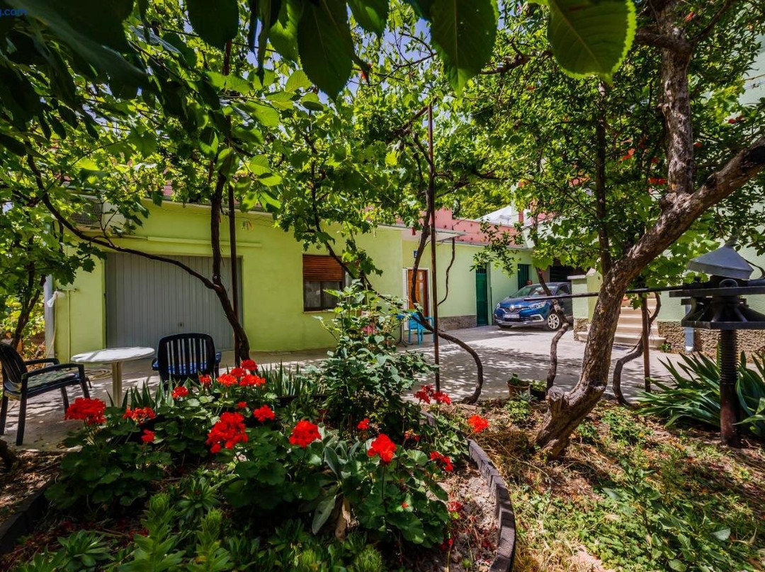 Apartment Jelen
