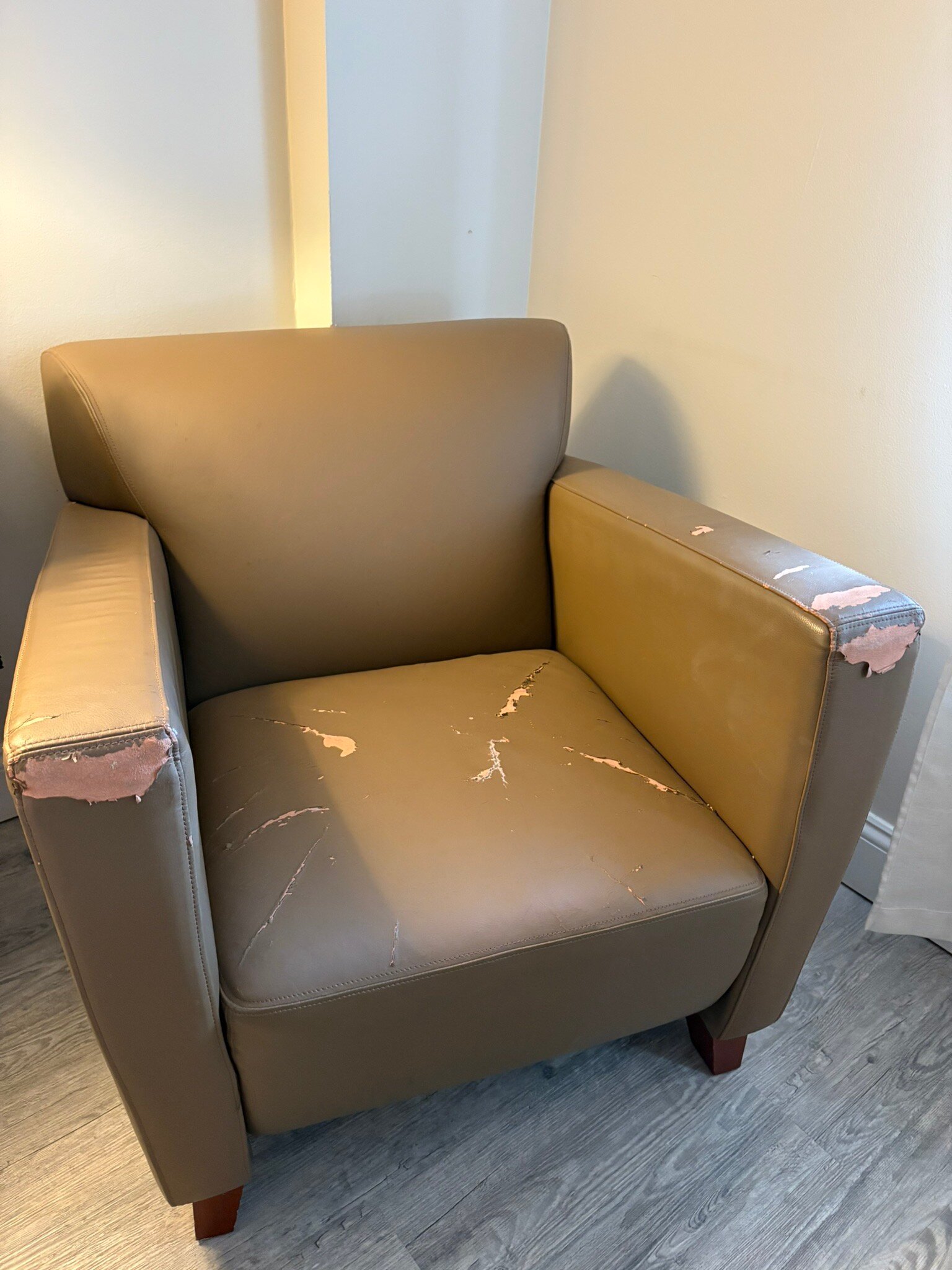 The Shore Club-官方