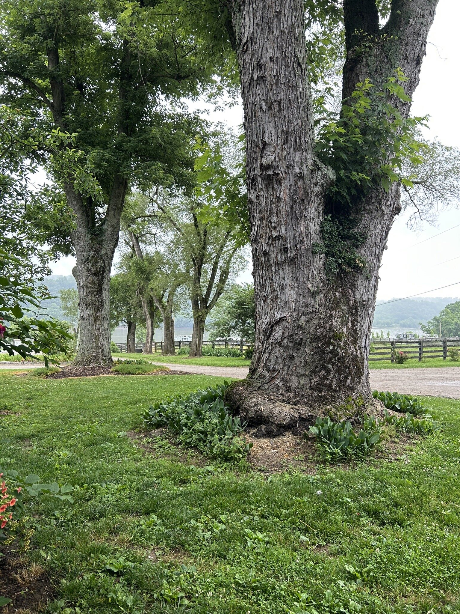 Richwood on the River-官方