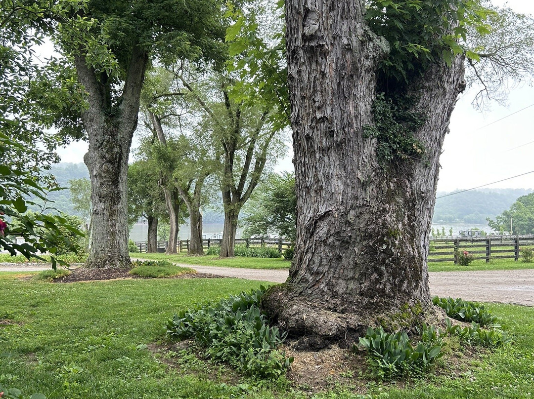 Richwood on the River主图