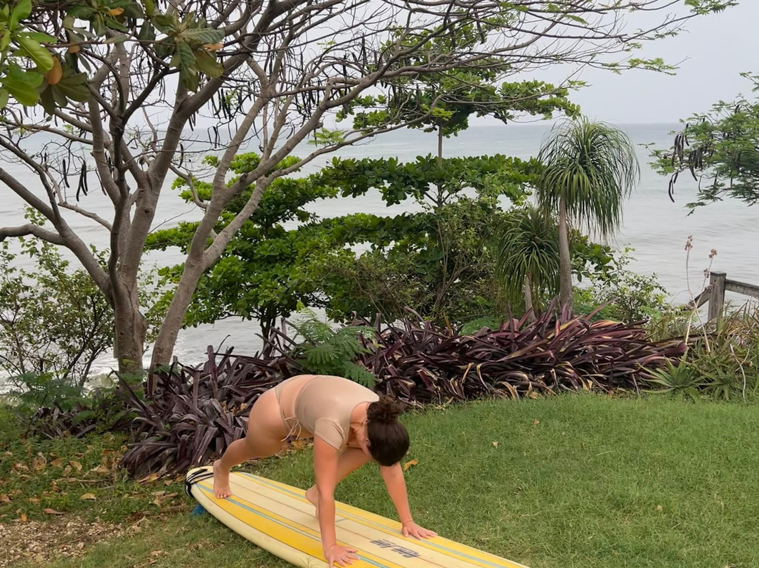 Freights bay surf school-Enterprise必去景点