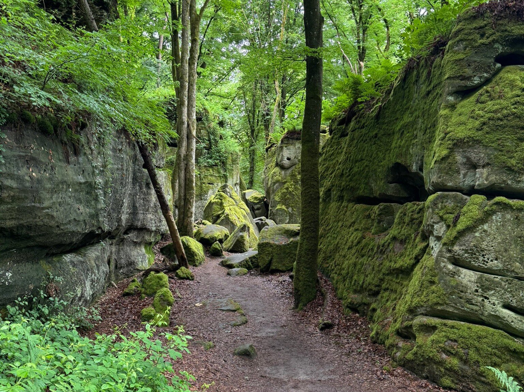 Gorges Du Loup-埃希特纳赫必去景点