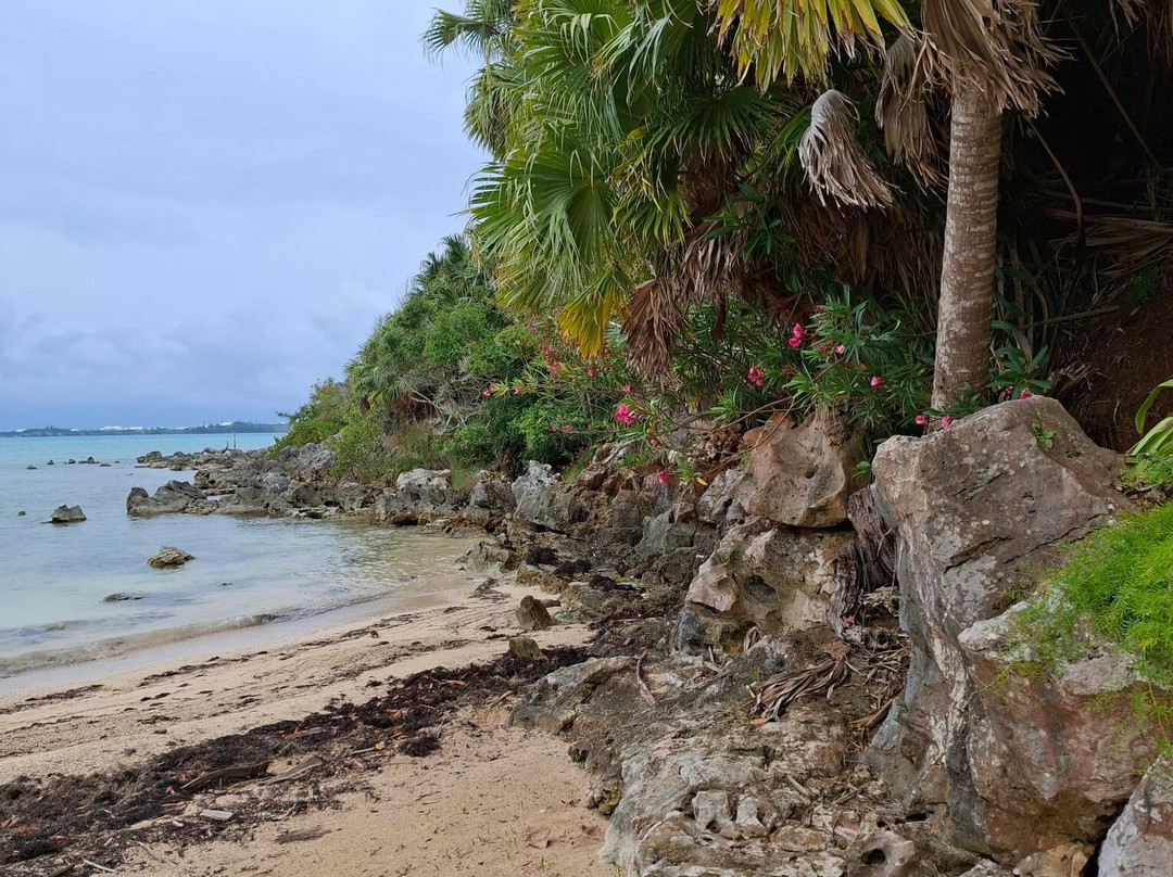 Tom Moore's Jungle-Hamilton Parish必去景点