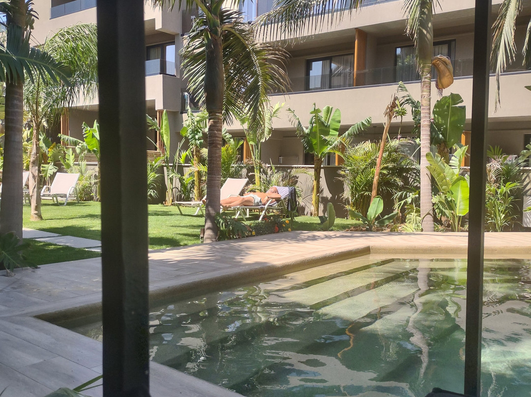 Alsus Boutique Hotel主图