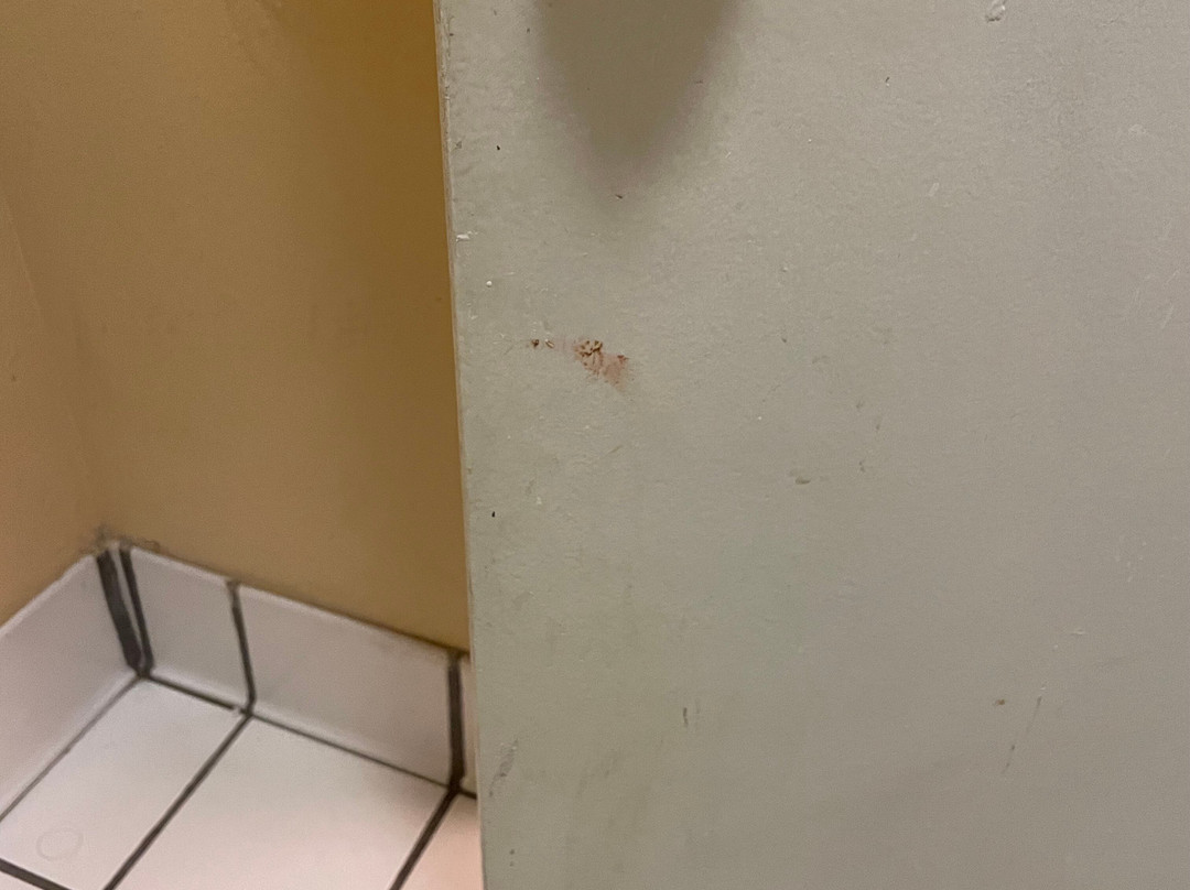 Super 8 by Wyndham O'Fallon主图