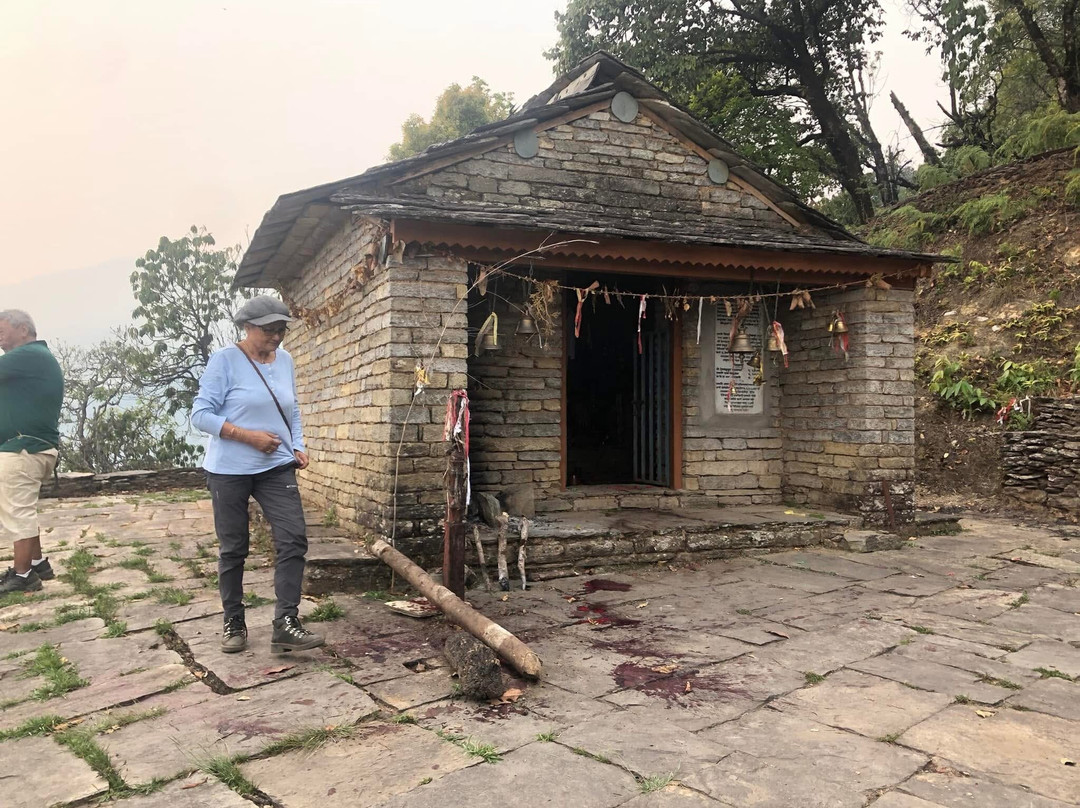 Tamagi Museum And Learning Centre-博卡拉必去景点