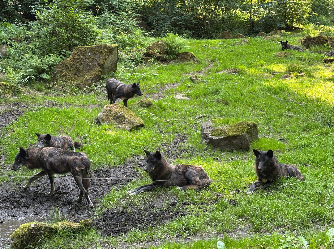 Adler und Wolfspark-Pelm必去景点