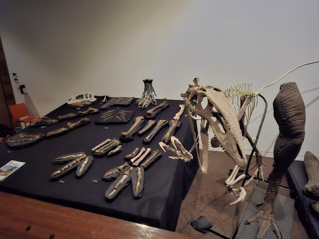 Australian Age of Dinosaurs-Winton必去景点