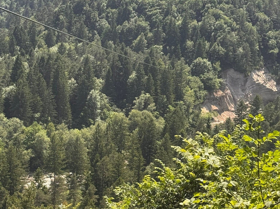 Zipline Dolinka景点图片