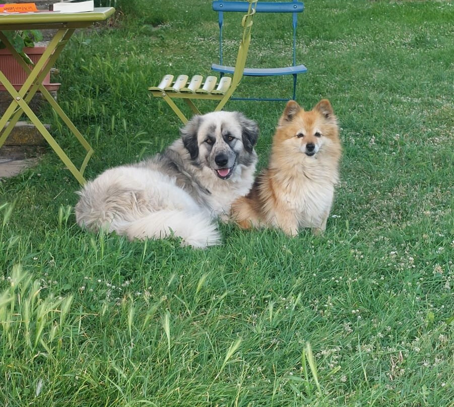 Bio Agriturismo Chignoni主图