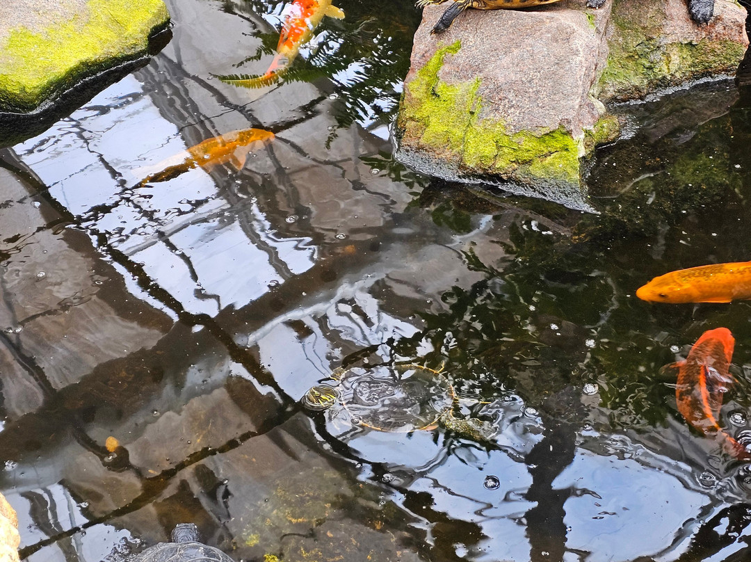 Baymont by Wyndham Sioux Falls主图