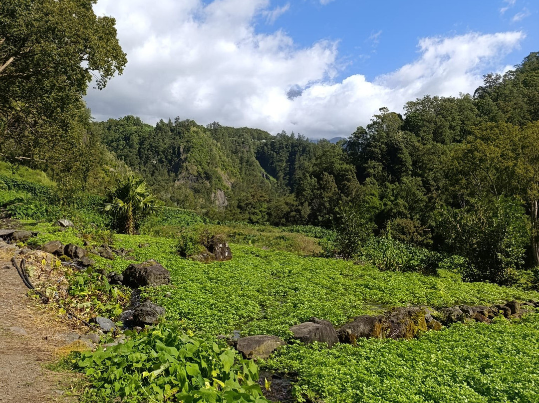 Cascade du Voile de la Mariée-Salazie必去景点