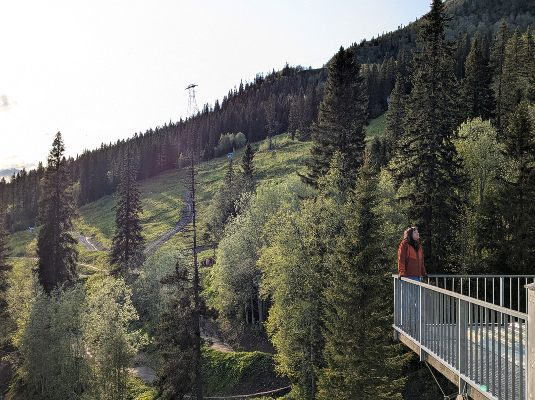 Hotell Fjällgården主图