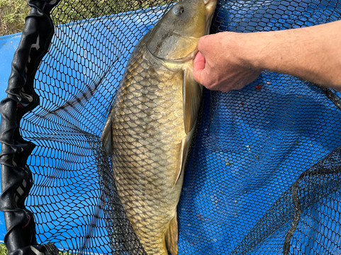 Fishing In Prague-布拉格必去景点