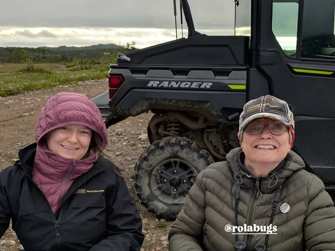 Under the Stump Inc-Rocky Harbour必去景点