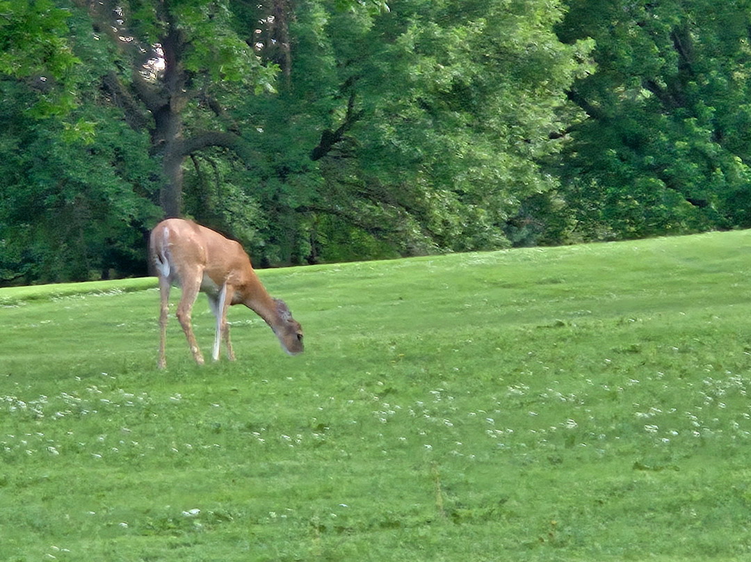 AmericInn by Wyndham Okoboji主图