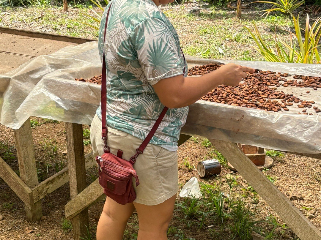 Rancho Raices De Puerto Jimenez-希门尼斯港必去景点