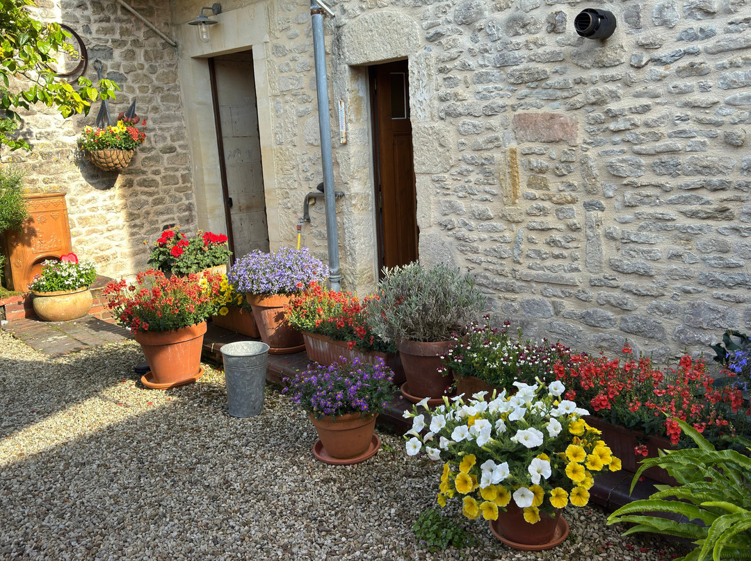 Villa Louis et Marguerite主图