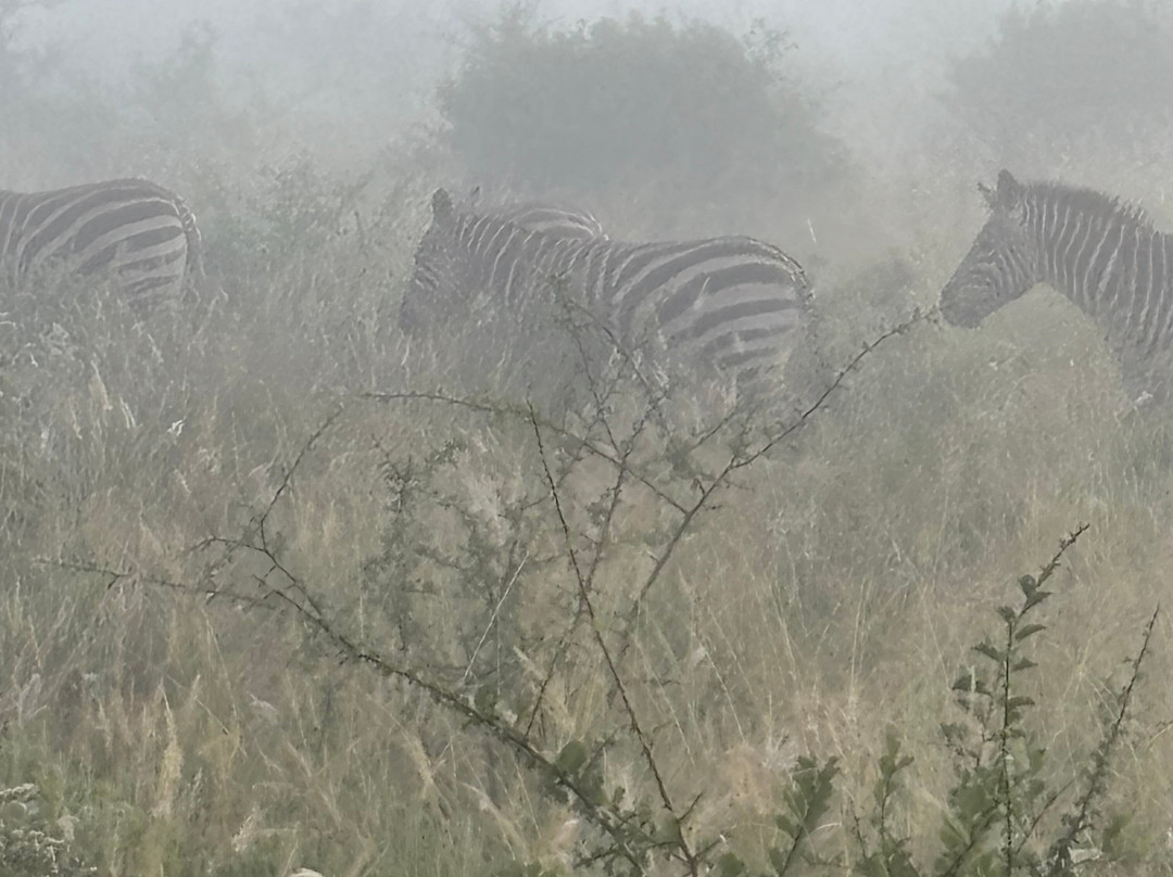 Pitia Africa Safaris-迪亚尼必去景点