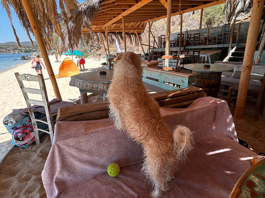 Paralia Aretes-Sithonia必去景点