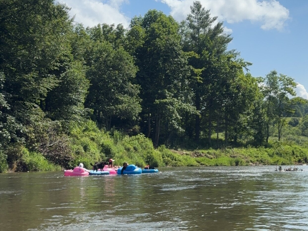 Wahoo's Adventures-Todd必去景点