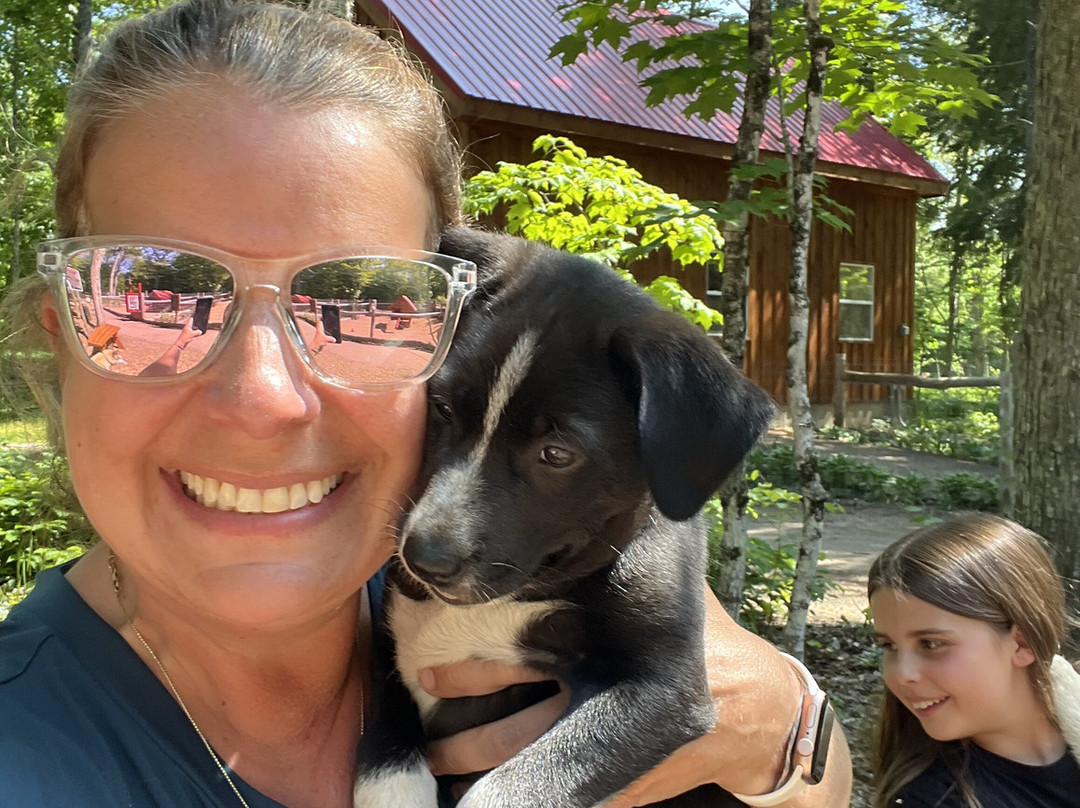 MIDOG - Michigan's Summer Sled Dog Center-Newberry必去景点