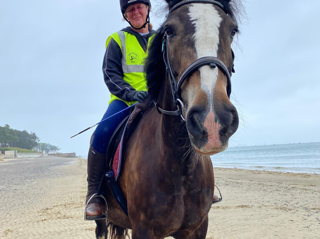 Sally's Riding School-St Helens必去景点