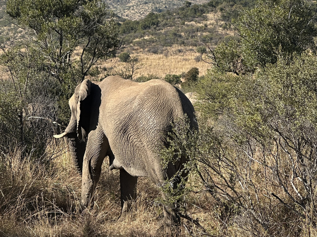 Kartula Marula Adventures-Steenbokpan必去景点