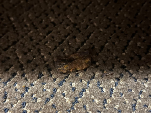 奋进旅馆及套房, 璀蔓臻选温德姆主图