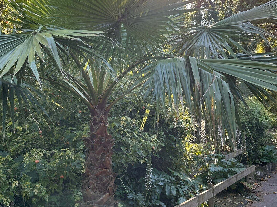 Parc Olbius-Riquier-耶尔必去景点