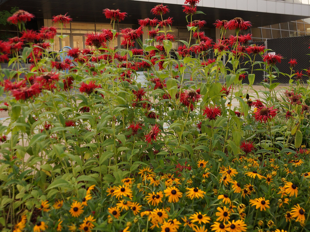 Mississippi Museum of Art-杰克逊必去景点