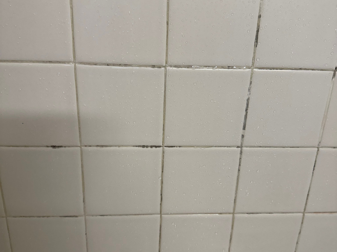 Best Western Braddock Inn主图