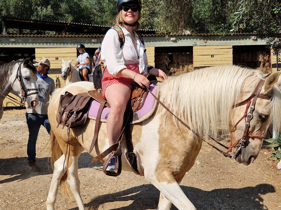 North Corfu Horses-Peritheia必去景点