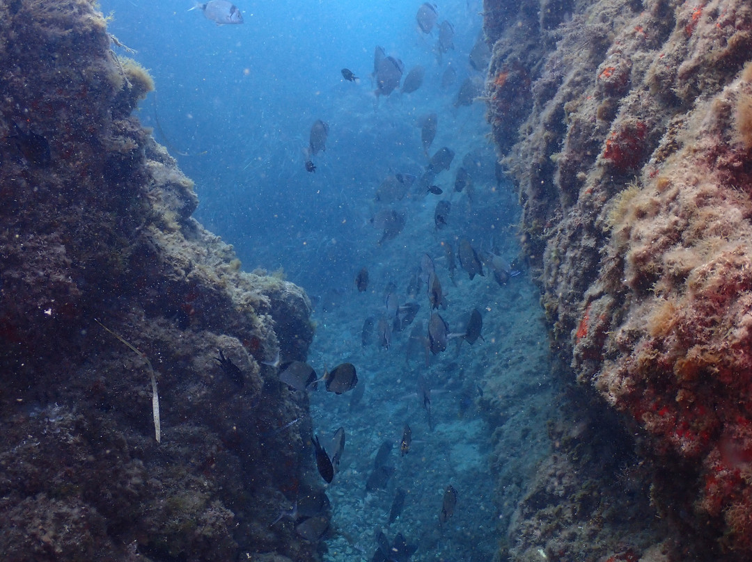 Buceo Mojacar-莫哈卡尔必去景点