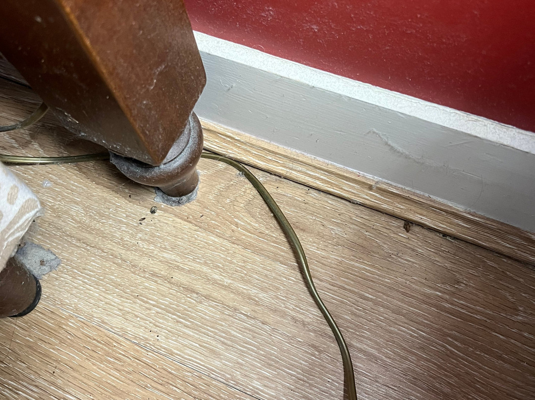 Moulin du Fief Gentil主图