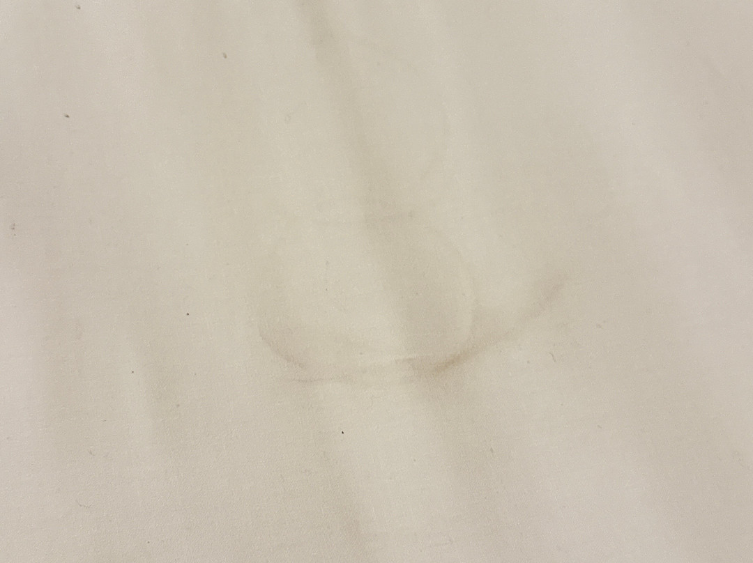 Hotel El Djazair主图
