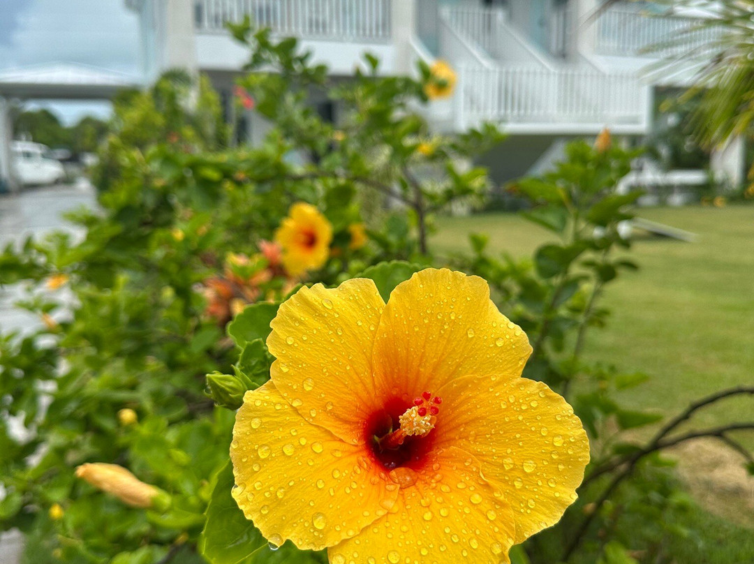 Navigare Yachting-Marsh Harbour必去景点