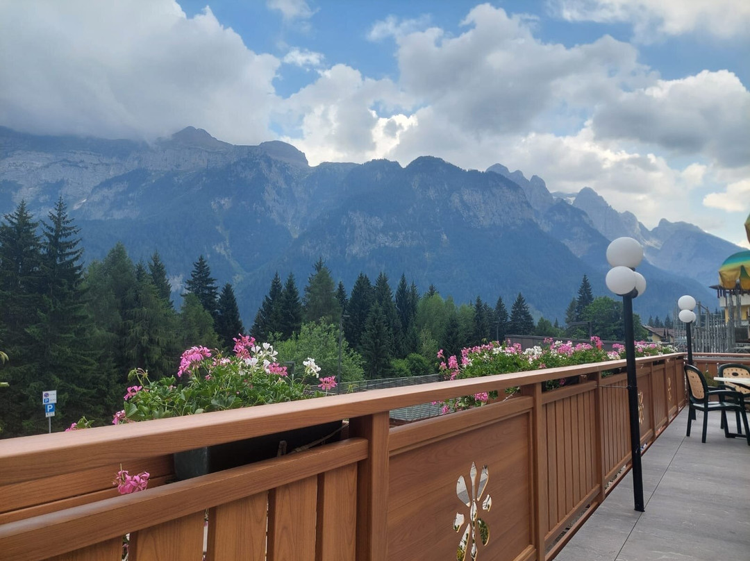 Wellness Hotel Madonna delle Nevi主图