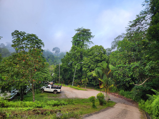 Lost Borneo Tours-亚庇必去景点