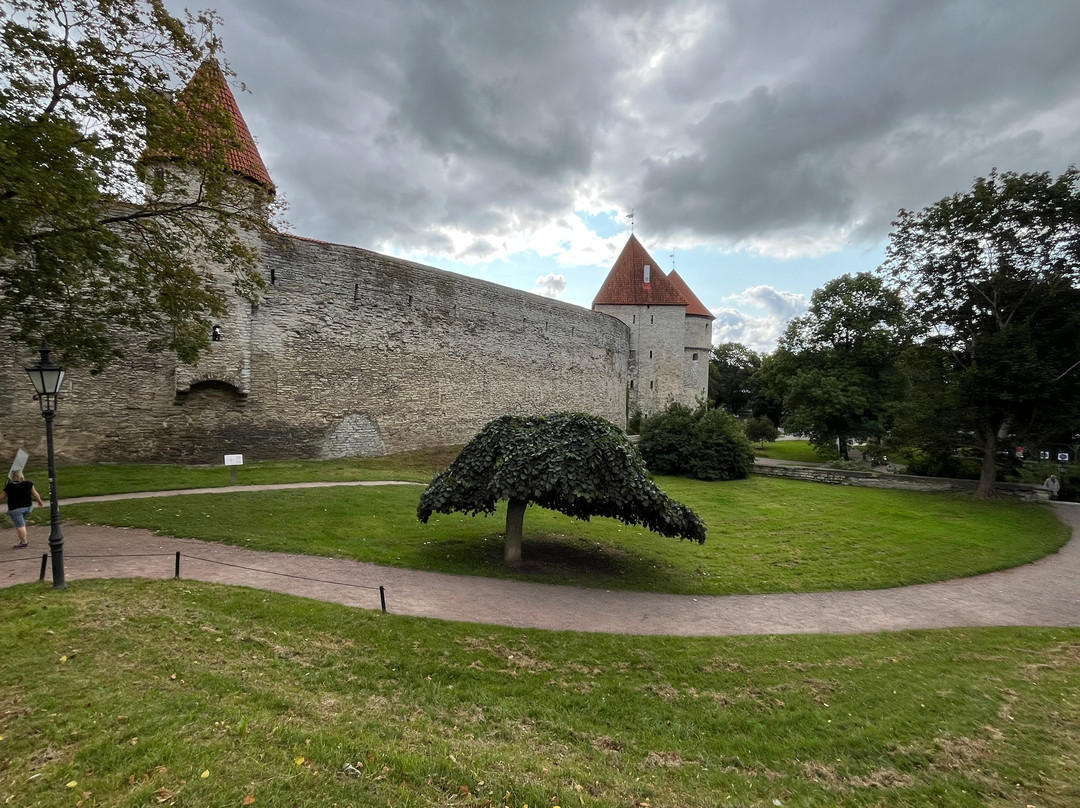 Danish King's Garden-塔林必去景点