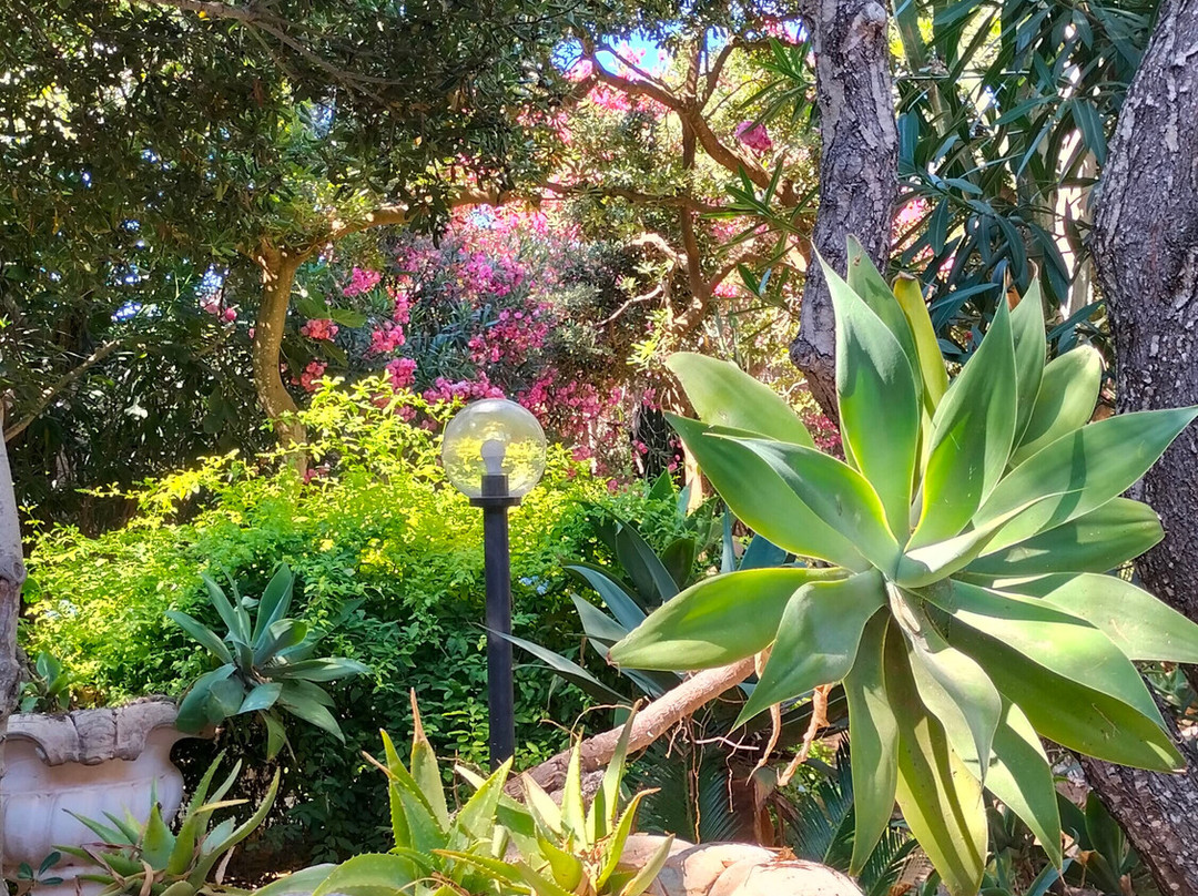 L'Oasi Villaggio Albergo主图