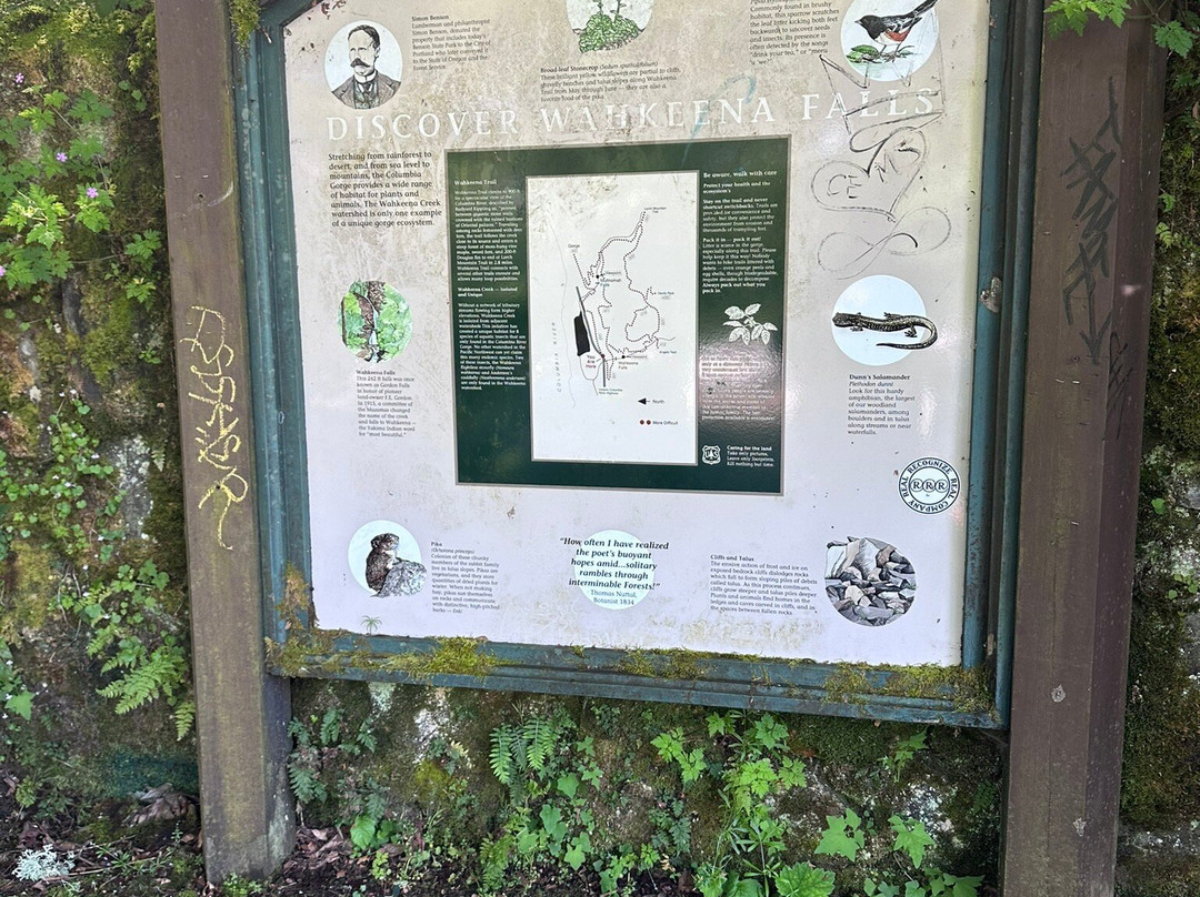 Wahkeena Falls-劳特代尔必去景点