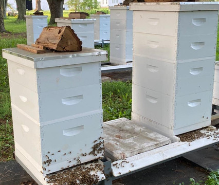 State Line Honey-安提必去景点