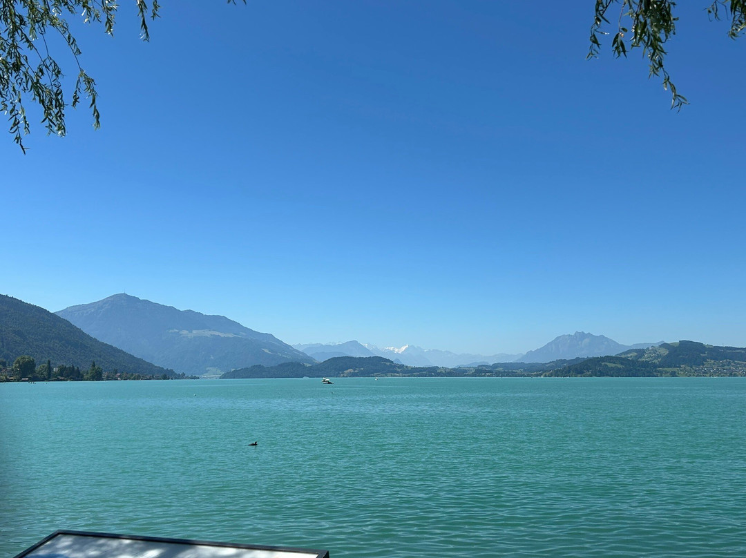Zugersee Schiffahrt-楚格必去景点