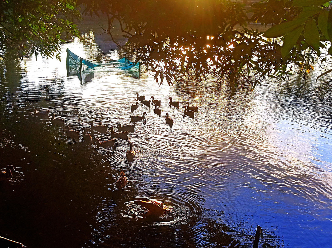Barisal Waterland-Barisal City必去景点