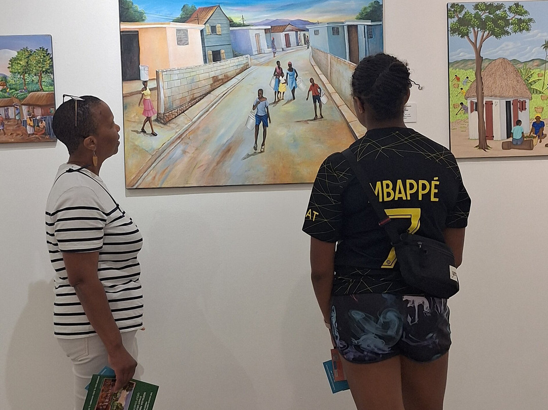 Haitian Heritage Museum-迈阿密必去景点